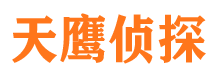 定南寻人公司